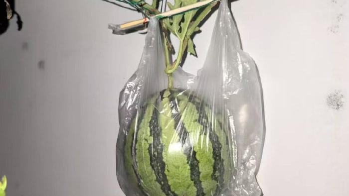 那你干嘛嫁给他呀？或许这就是答案吧
