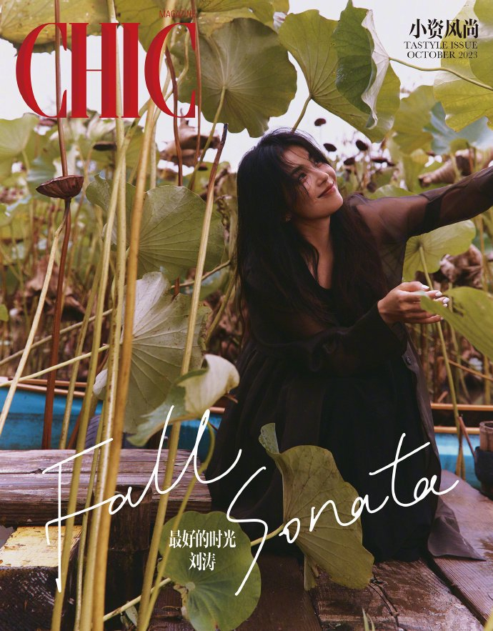 刘涛 chic magazine 十月刊封面人物