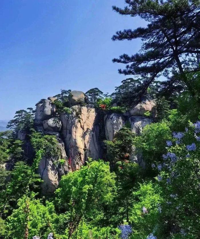 我是鞍山千山辽宁众山带头大哥正是在下