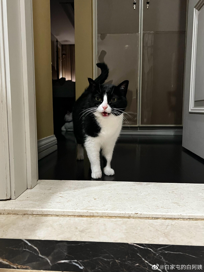 我晚上睡觉晚,儿媳妇来骂我了,老了老了,被儿媳妇管……__财经头条