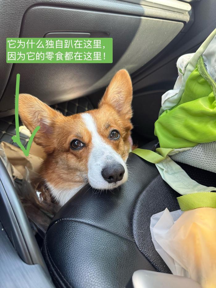 准备出发！ 本来想明天再回姥姥家， 慕唐非要今天就回！