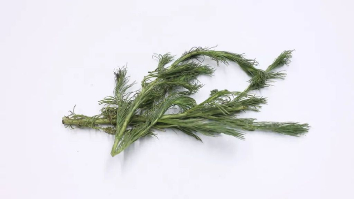 茵陈这味中药,最早出自《神农本草经》,对于茵陈最初的作用,《神农