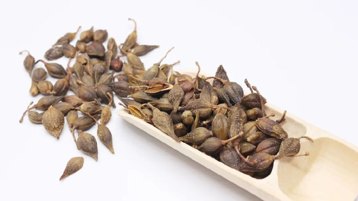 一味奇妙中药散结节是灵丹散风热是妙药治疮疡是圣药真棒