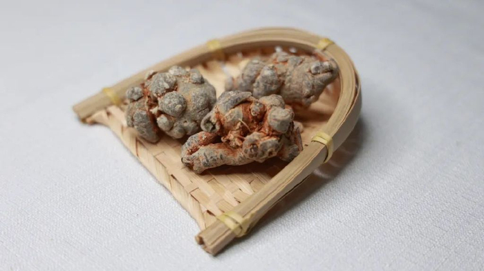 一味奇妙的中药,活血化瘀,止血止痛,还抗血栓,抗肿瘤,抗衰老