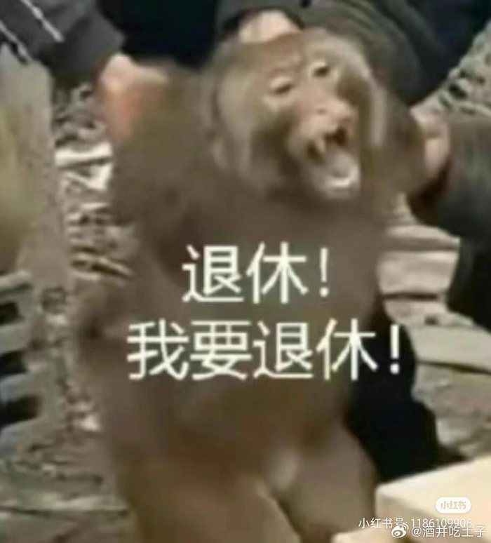 超多的吗喽表情包,是谁的精神状态,我不说