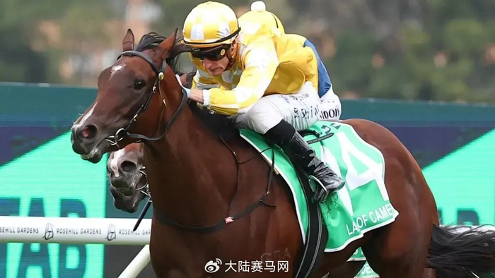 "王庭贵女"问鼎全球奖金最高的2岁马赛事——2024