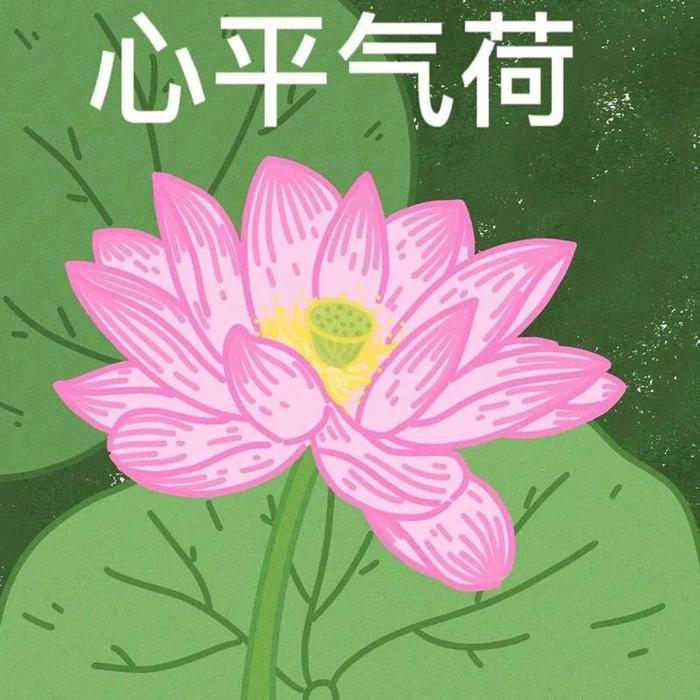 一波心平气和~头像