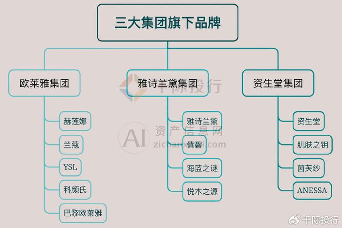 屈臣氏公司组织结构图图片