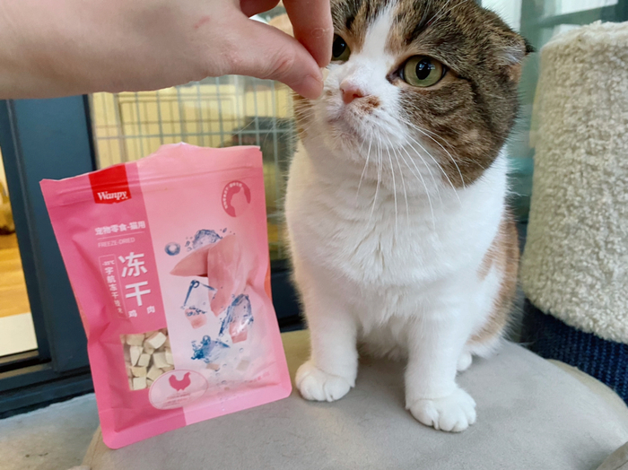 小阿毛也有,就是没被选上,估计吃相不美被嫌弃了,还有大头糖糖妹宝