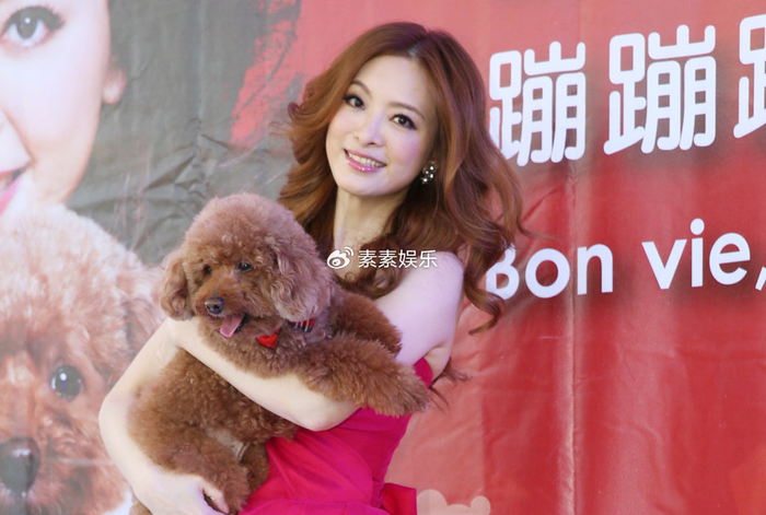 辛龙发刘真生前旧照表哀思,刘真离世4年仍旧忘记不了亡妻|刘真|辛龙