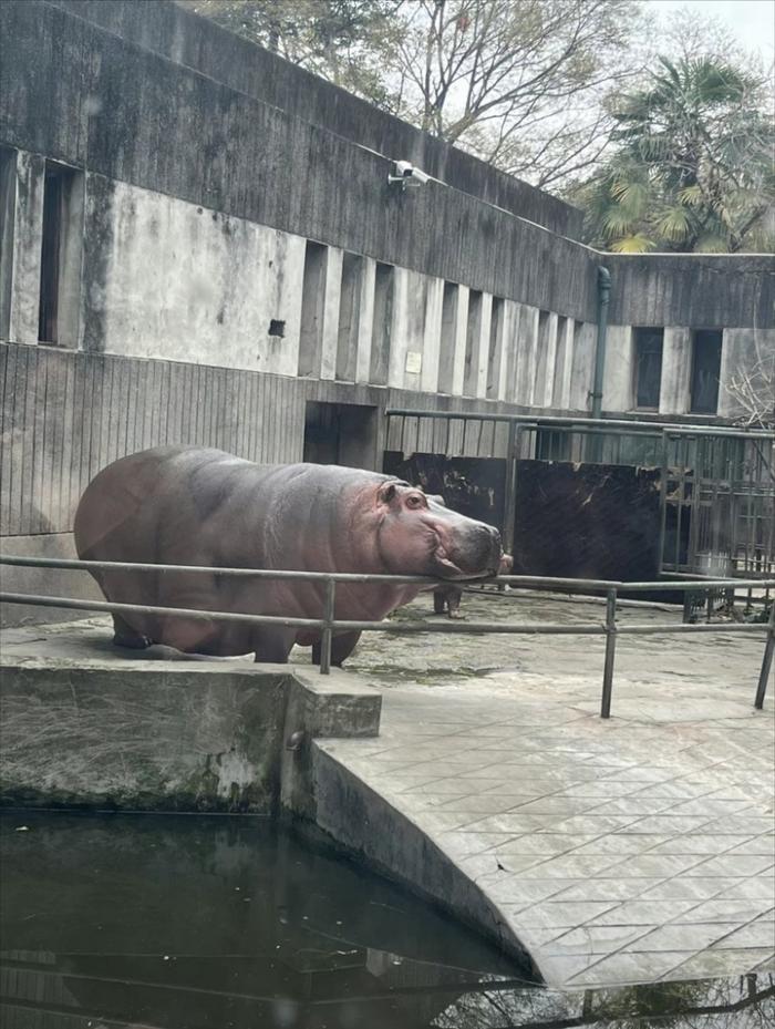 衢州动物园图片