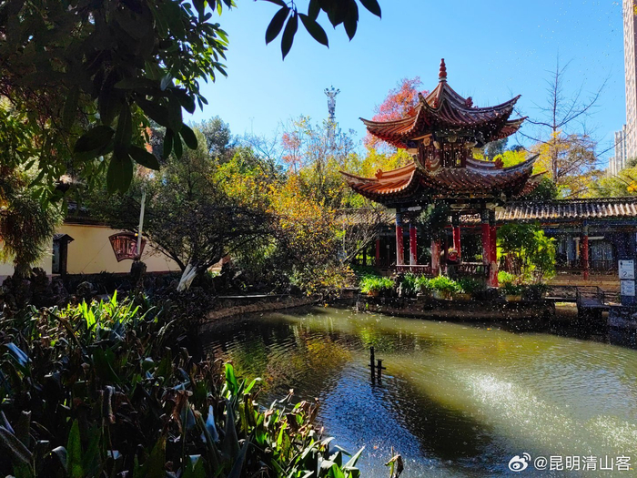 昆明冬天的昙华寺公园