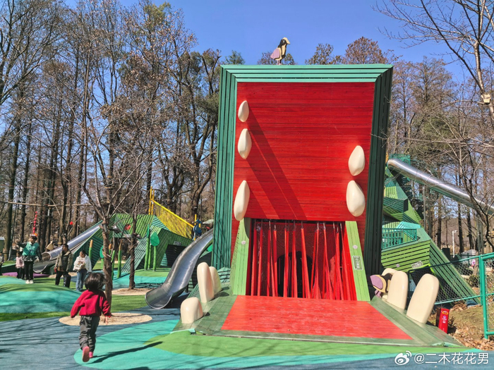 森乐园太好玩啦小朋友们彻底放飞