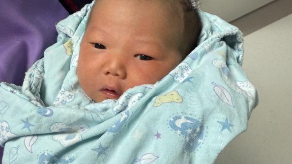 婴儿智商“建立黄金期”，若能把握住，将来会更聪明