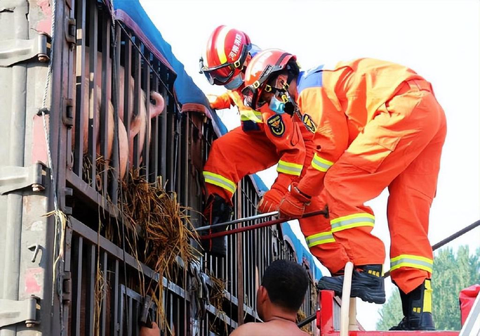 河南鄢陵拉载生猪厢货车被困服务区消防队员及时赶赴洒水降温