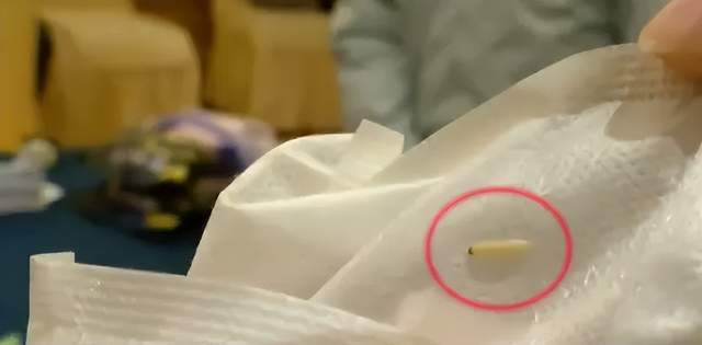 同城月的奇妙之旅：小白也能懂的生活攻略与体验分享