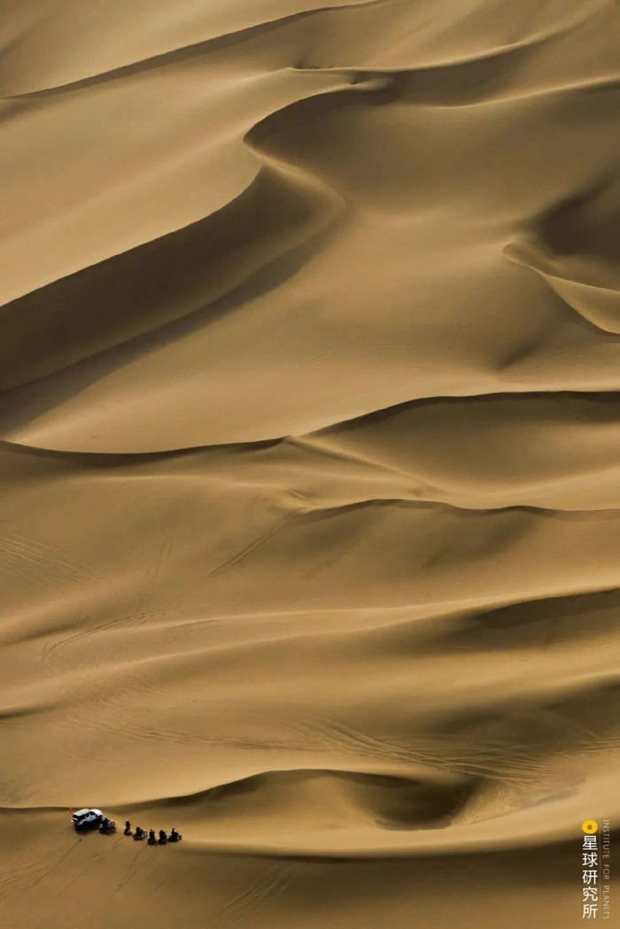 摄影师|塔克拉玛干|沙漠_新浪新闻