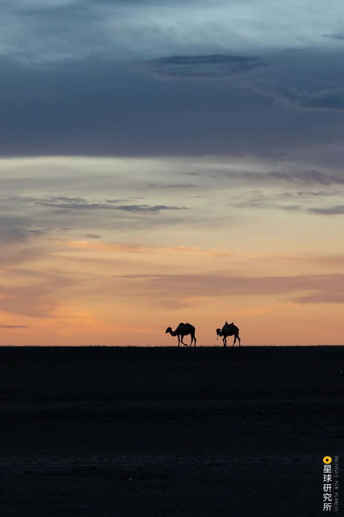 摄影师|塔克拉玛干|沙漠_新浪新闻