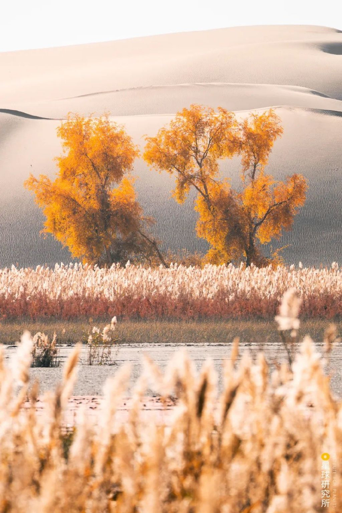 摄影师|塔克拉玛干|沙漠_新浪新闻