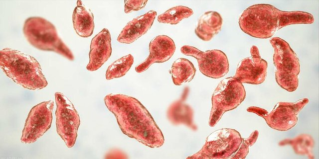 支原体有什么特别之处?