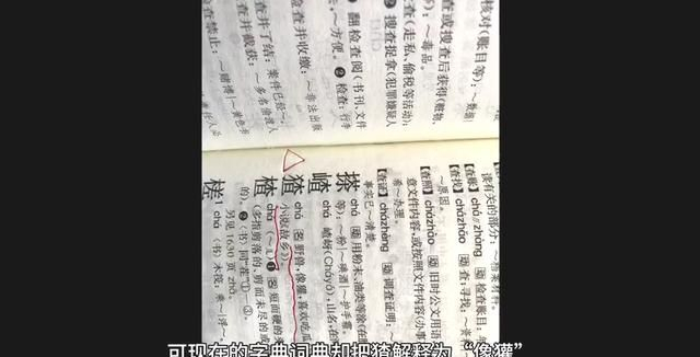 鲁迅故乡——浙江爆出“猹”的东西到底是什么|“猹”是什么|辞海|鲁迅书信集|闰土|狗獾_新浪新闻
