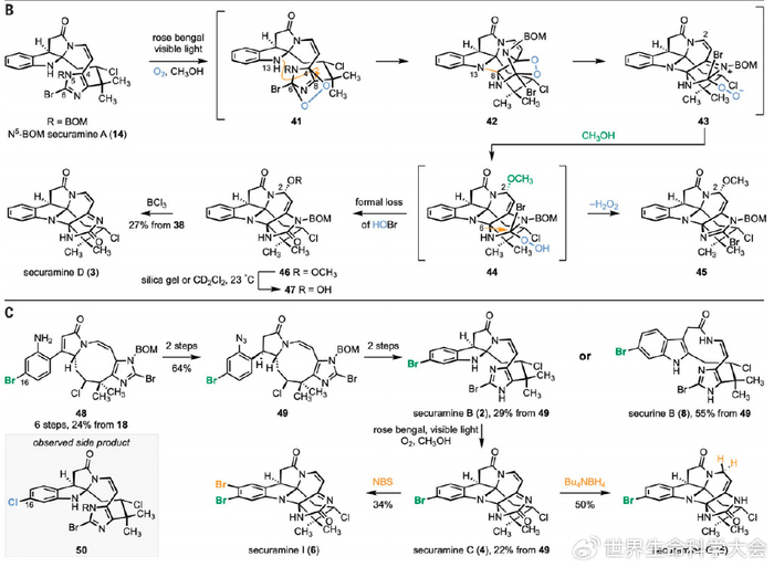 bom保护:商业可得的4-乙腈基咪唑20,与钠氢化物(nah)和苄基氯甲基醚