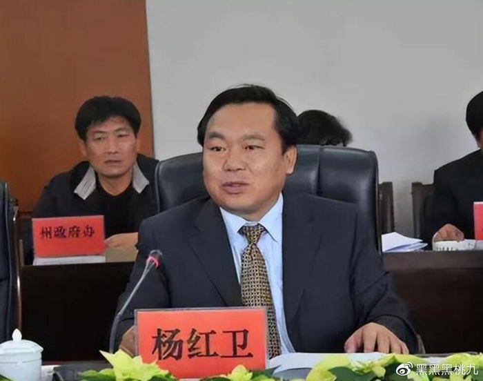 情妇数十人,"卡苦"不离身,楚雄州长杨红卫的荒唐人生|杨红卫|索贿
