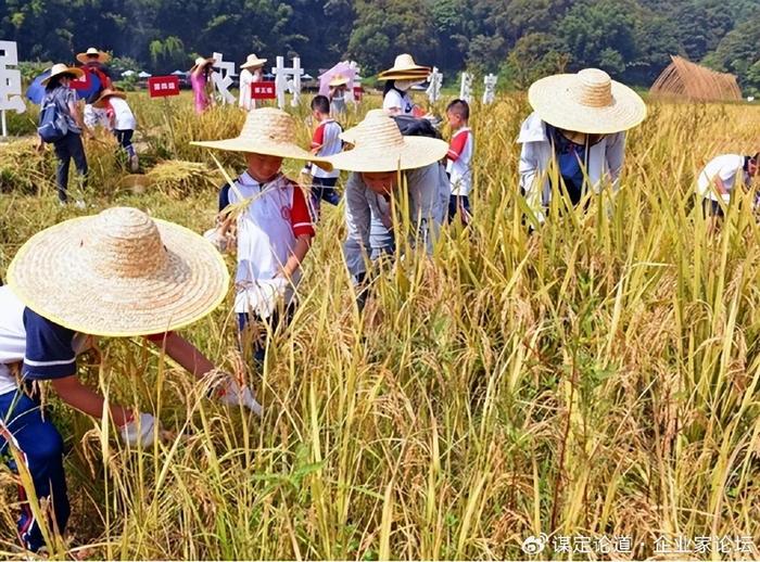 广州有担当广东稻作四千年-万祥军 国稻种芯·中国水稻节