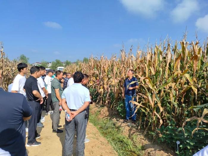 漢濱區農廣校助力夯實糧食安全根基,推動糧油產業綠色發展|漢濱區|農