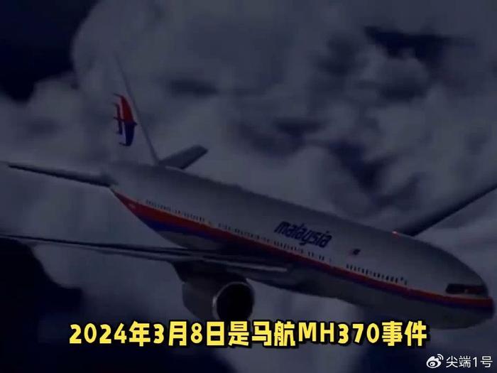 马航mh370机长突然现身图片