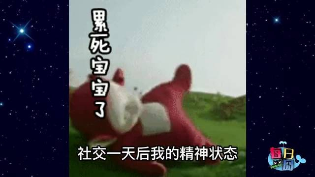 这次是猫猫队立了大功搞笑萌宠喵星人