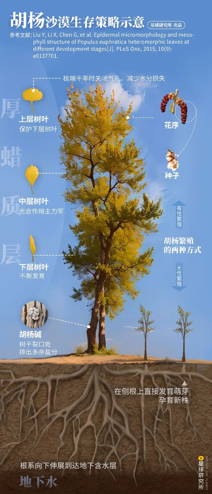 摄影师|塔克拉玛干|沙漠_新浪新闻