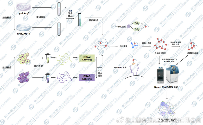 网站如何上传数据库