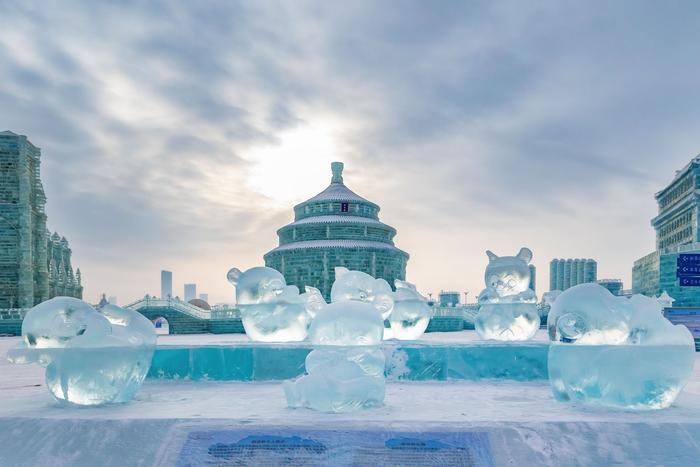 绚丽多彩的哈尔滨冰雪大世界惊艳了冬天