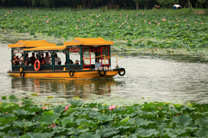 北京颐和园昆明湖上穿梭不断的游船 摄影