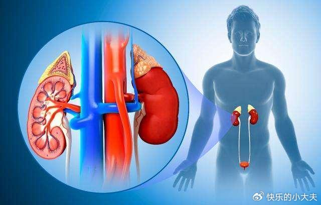 远离尿毒症!|肾脏|尿毒症|肾功能_新浪新闻