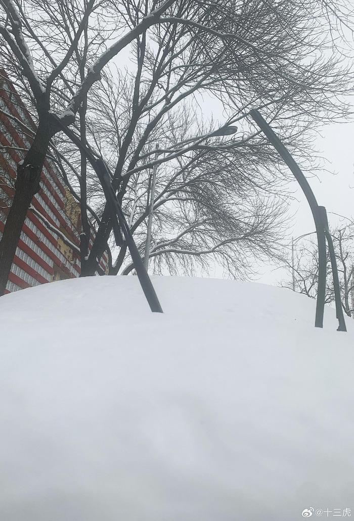 北京春雪照片图片