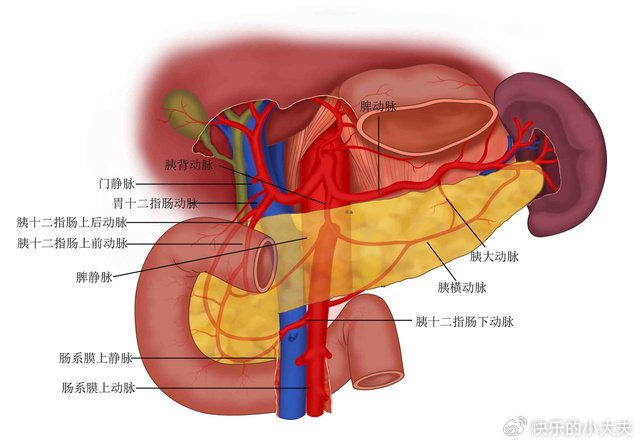 胰腺癌怎么回事?深入解读,全面防治