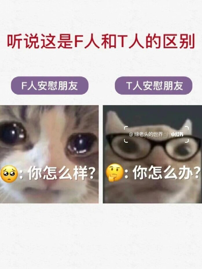 听说这是t人安慰f人现状belike