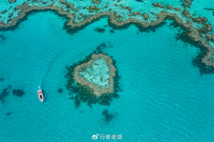 澳大利亚兰有片珊瑚礁像颗心去潜水或跳岛游有一种野奢的享受