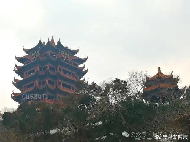 奶猫饲养日记山河南渡图片