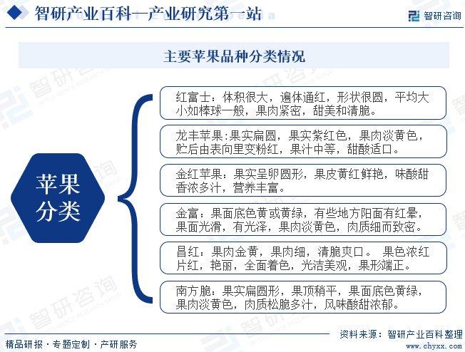 水果苹果产业链图片