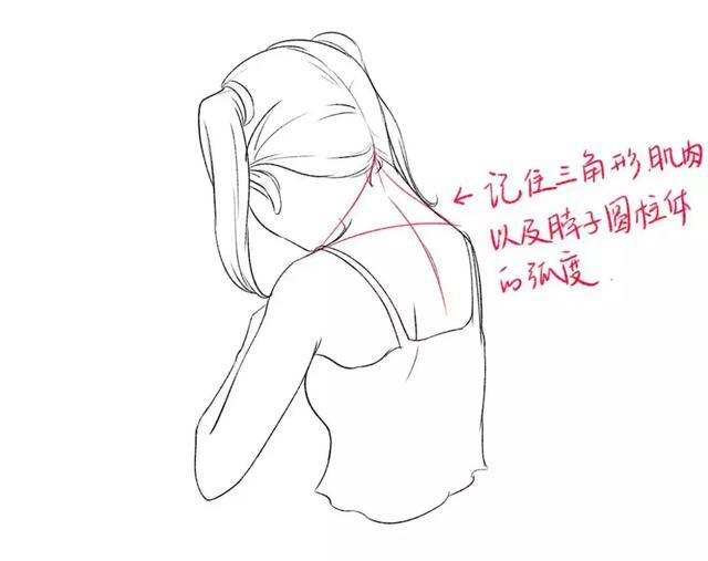 女性的锁骨怎么画?教你如何画出性感诱人的肩颈锁骨!