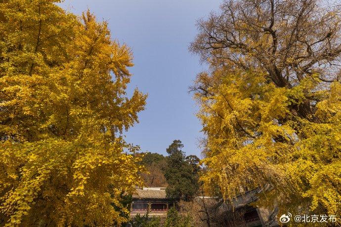 北京潭柘寺景区图片