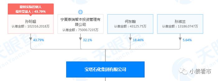 79%股份,寧夏泰瑞智本投資管理有限公司持股32.