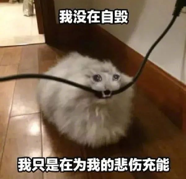 拿图请顺便吱一声 很难有动力发图了 更多表情包请来我主页!
