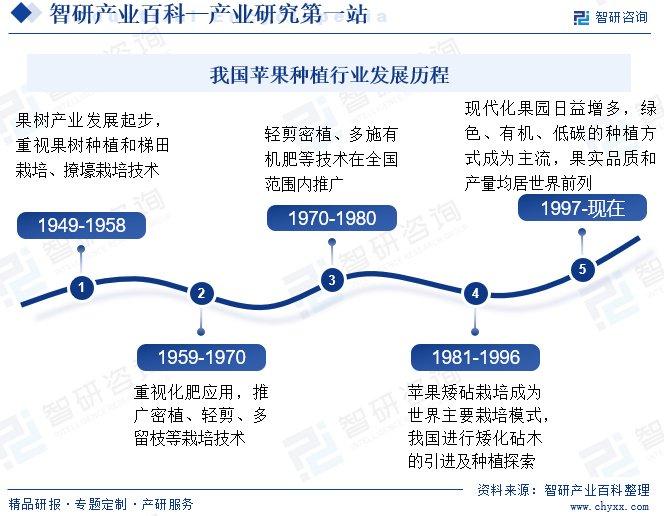 水果苹果产业链图片