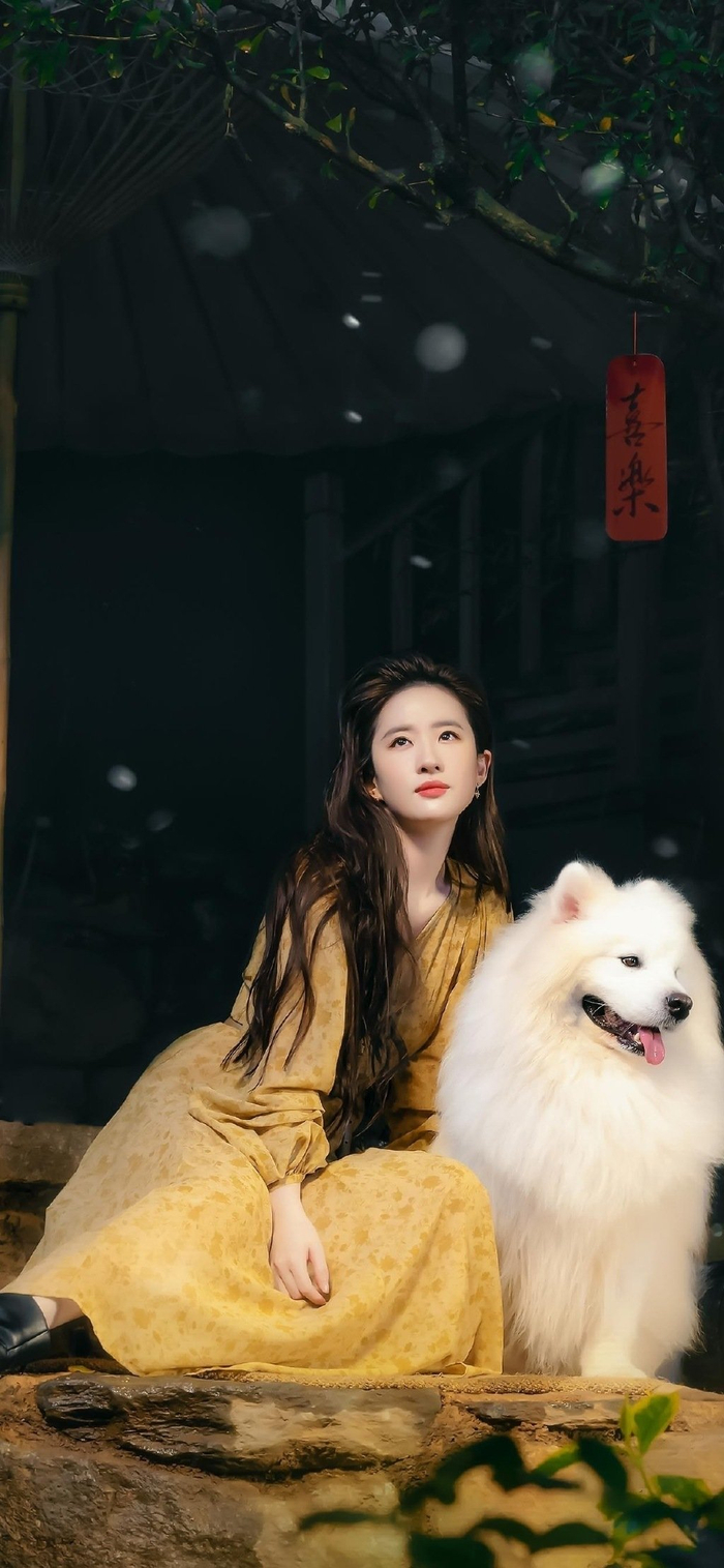 刘亦菲去有风的地方壁纸