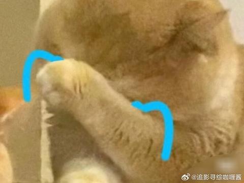 泪点预警这期我的主场低泪点不建议观看…