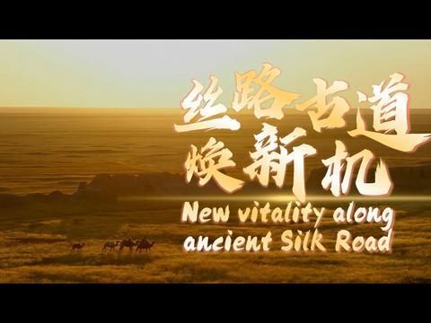 丝路古道焕新机
